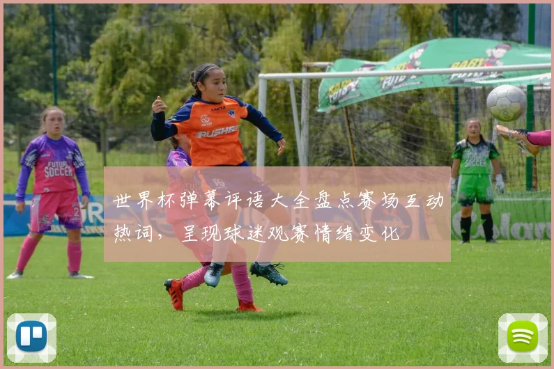 世界杯弹幕评语大全盘点赛场互动热词,呈现球迷观赛情绪变化