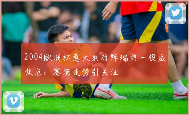 2004欧洲杯意大利对阵瑞典一役成焦点，赛场走势引关注